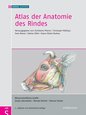 cover image of Atlas der Anatomie des Rindes